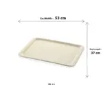 53x37 cm ölçülerinde, Gastronorm 1/1 boyutunda, krem renkli hafif dokulu dikdörtgen self servis ve sunum tepsisi.